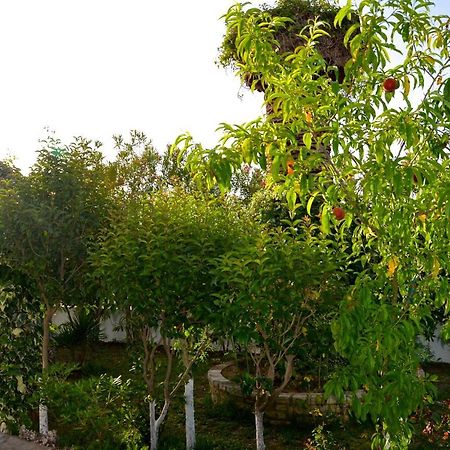 Kostas' Garden Apartment Roda  Ngoại thất bức ảnh