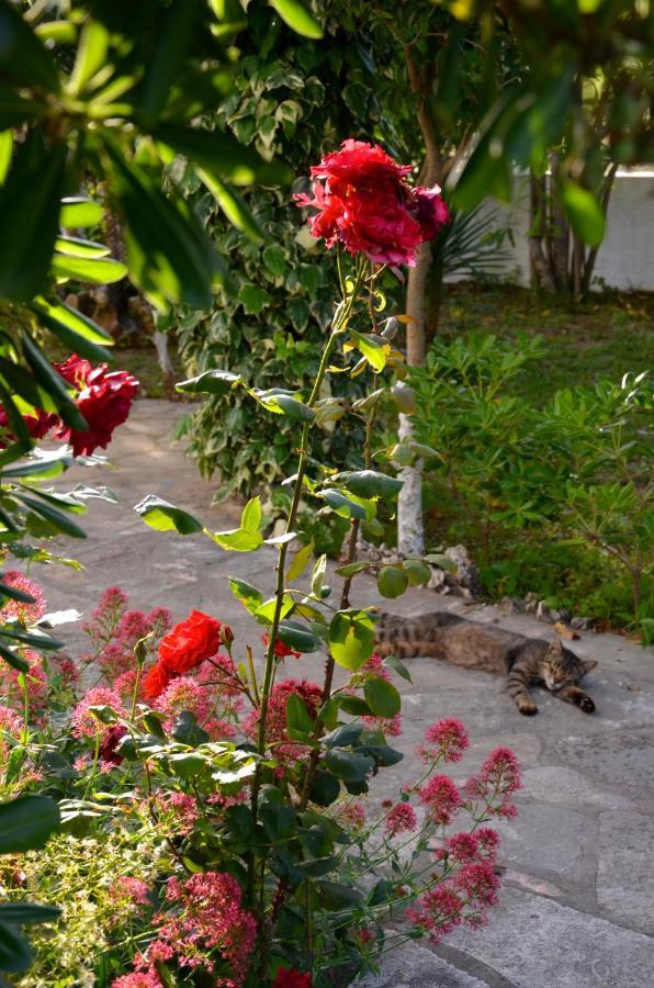 Kostas' Garden Apartment Roda  Ngoại thất bức ảnh