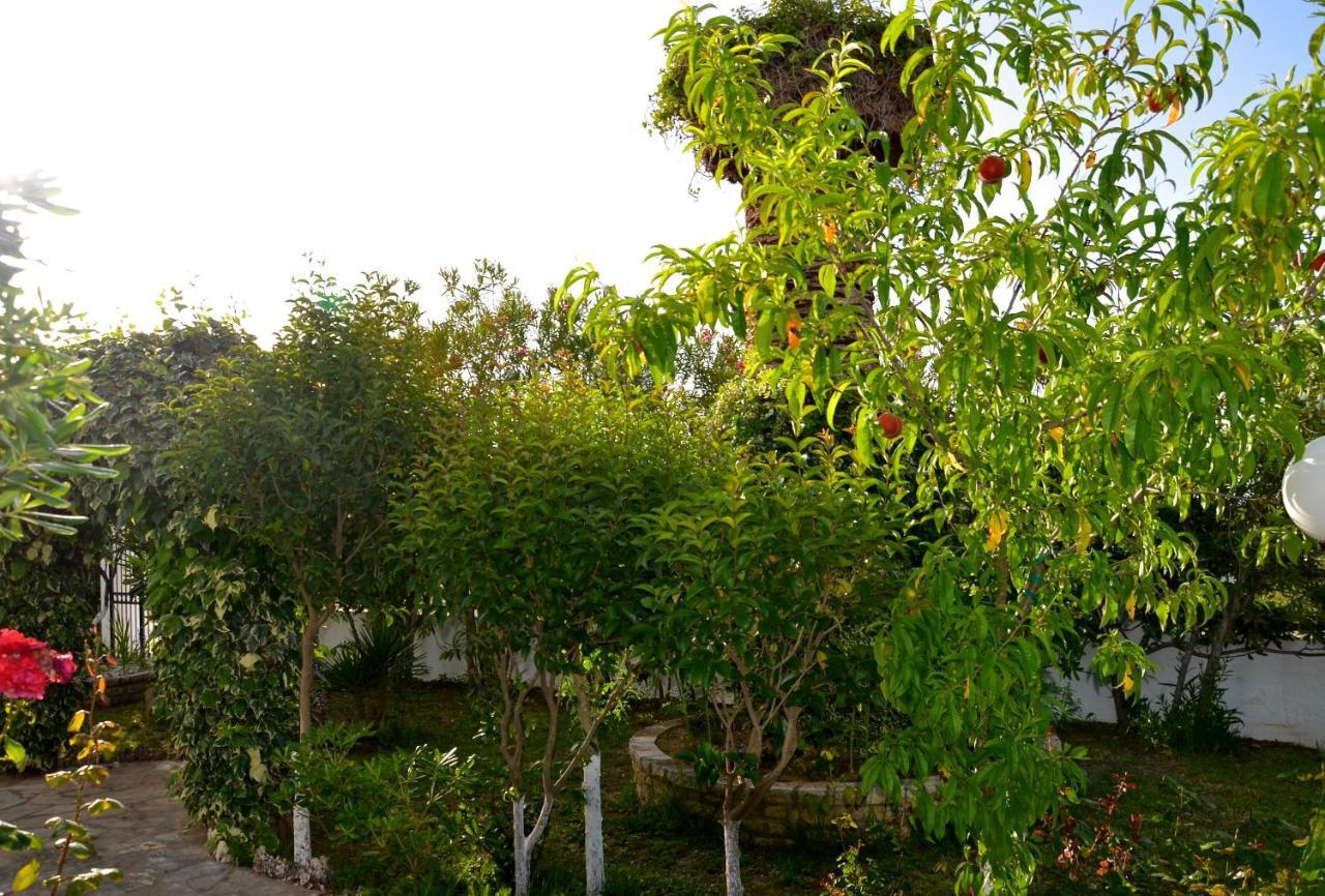 Kostas' Garden Apartment Roda  Ngoại thất bức ảnh